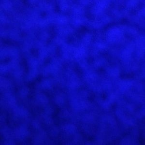 Meet your Posher, Kaden